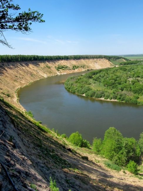 Времена года в Кривоборье..