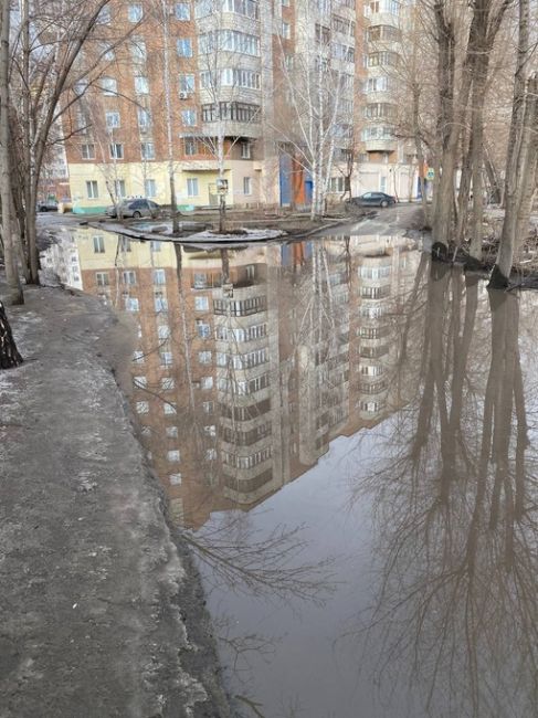 Если омичи не едут на море, то море «едет» к омичам! Такая обстановка сейчас происходит на Дмитриева..