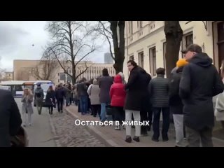 С 1 сентября в школах Ростовской области введут «Основы безопасности и защиты Родины» и «Труд (технология)»...