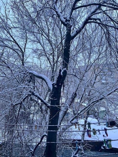 ❄ Ростовскую область заметает снегом. Кадры из Белой Калитвы и Морозовска. Подарок от..