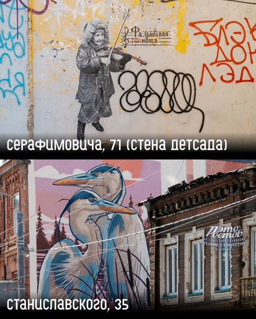 🎨 Стрит-арт на улицах Ростова. За последние годы его стало очень много, и это лучше, чем тусклые..