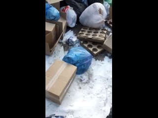 В Первомайском районе Новосибирска двое подростков выбросили на мусорку мешок с котятами

 Инцидент..