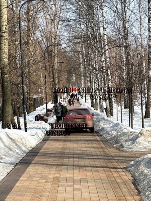 ⛔️Автохам в Светлоярском парке — плевать на всех, езжу где хочу!

..