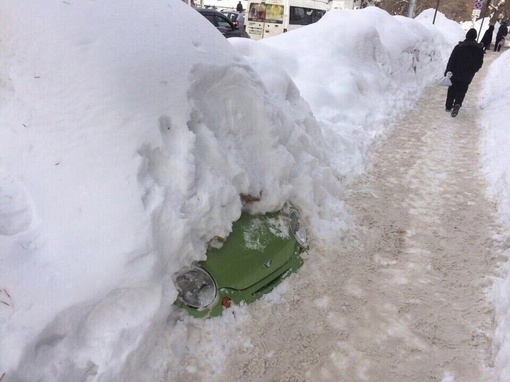 В Чайковском настоящие подснежники появились с наступлением весны

Кто-то скоро откопает свою машину..