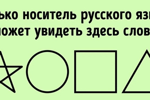 К петербургским новостройкам теперь прилагается собственное болото. Например, как в этом ЖК с..