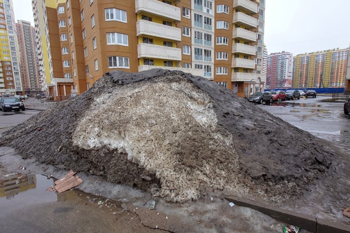 На набережной канала Грибоедова появился прижизненный памятник чиновникам, ответственным за уборку..