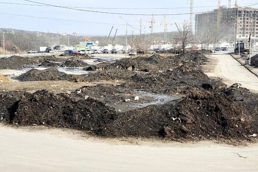 Склад грязи в Александровке, куда на площадку между жилыми многоэтажками свозили снег со всего города,..