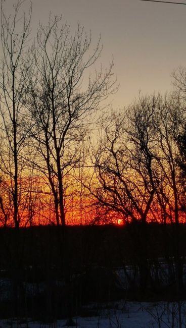 🌅 Алые закаты вновь зажигают небо с приходом..