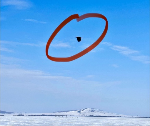 Ворона украла улов у рыбаков из Магнитогорска на озере Суртанды в Челябинской области

Один из мужчин смог..