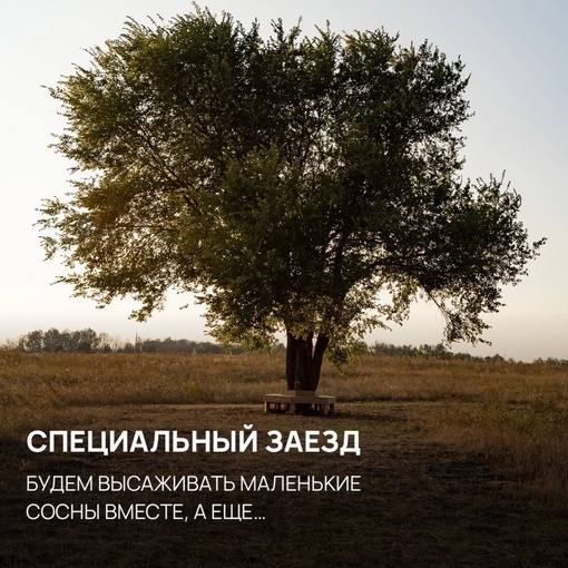 Праздник древонасаждения в глэмпинге «Синий яр»

30–31 марта в области сердца состоится особое мероприятие...