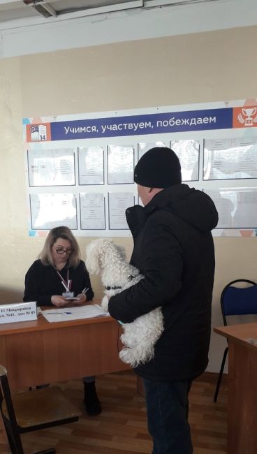 Бобик, сегодня мы гуляем до участка!

Нижегородцы на выборы президента берут с собой питомцев. Если вы еще не..