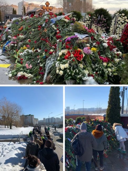 Обстановка на могиле Алексея Навального на Борисовском кладбище. Спустя пару дней после похорон там стоят..