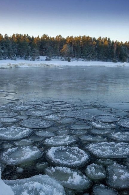 Ледяные «блинчики» на Ладоге. Всё готово к..