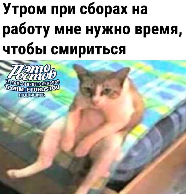 Это Ростов! Новости..