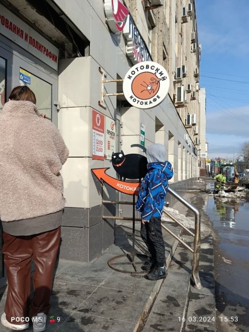 От подписчика

Не анонимно 

Всем рекомендую👍 посетить котокафе "Котовский" на Монастырской 14. Уютное место..