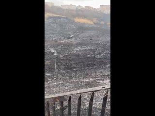 Последствия сильного пожара на территории Мухиной балки в Аксае.

Очевидцы считают, что это якобы был поджог...
