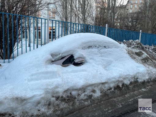 В Москве из-под снега стали проклевываться первые..