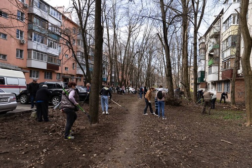 Сегодня в Ростове прошла санитарная уборка города. 

Более тысячи человек человек смогли собрать и вывезти..