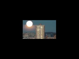 Смотрите, какое красивое полнолуние сегодня ночью было в Новороссийске 🌕

📹..