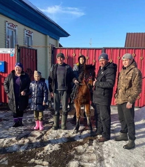 🐎«Будет верным другом»: чемпион мира подарил парню из Башкирии жеребенка

Чемпион мира по борьбе на лошадях..