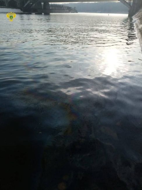 Москва-река стала местами немного радужная. 

На Бережковской набережной в воду попало что-то..