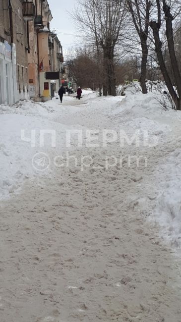 Вот такой УЖАС на Ушакова!!!!
Неделю назад а то и больше скинули снег с крыши и всё дальше..