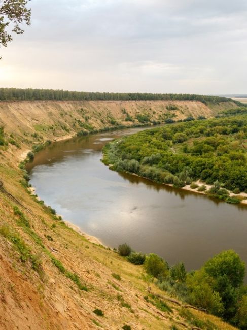 Времена года в Кривоборье..