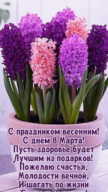 Наши бойцы возле парка Горького поздравляют женщин с 8 марта 💐❤

⚠ВНИМАНИЕ! [https://vk.com/video/@etorostovnadonu|Видео..