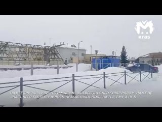 Пенсионерку, над которой издевался внук в Назаровском районе, отправили на судмедэкспертизу. Следователи..