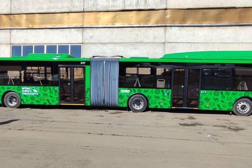 На улицы Челябинска вышли автобусы особо большого класса

Они работают на маршруте №64. Сегодня на линию..