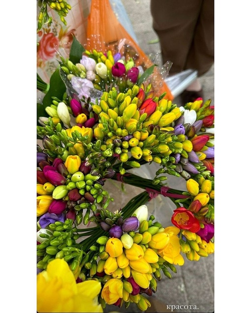 Сегодня настоящий цветочный бум в Краснодаре 💐
Фото:..