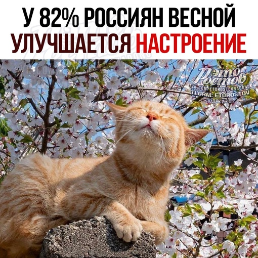 😊 У 82% россиян весной улучшается настроение. Также 7% чувствуют себя хуже. На 11% смена сезона не влияет на..