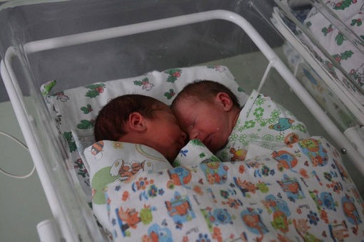 👶В Краснодарском крае за сутки на свет появилось 5 двоен

4 пары двойняшек родилось в Краснодаре и одна в..
