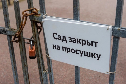Более 100 садов и парков в Петербурге закроют на просушку на месяц 
 
При этом в некоторые из них, например, сад..