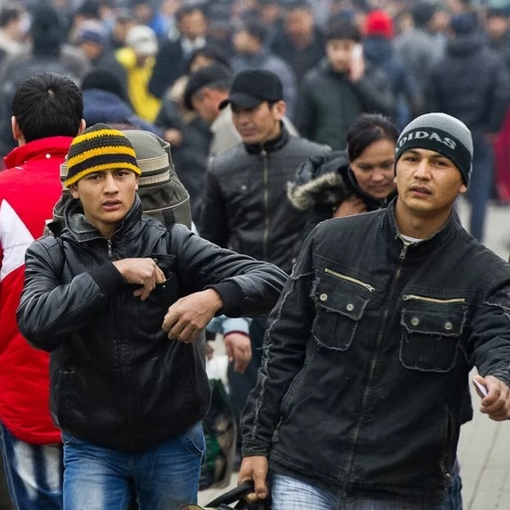 После теракта в «Крокусе» московская полиция активизировалась в проверке мигрантов

«База» сообщает, что в..