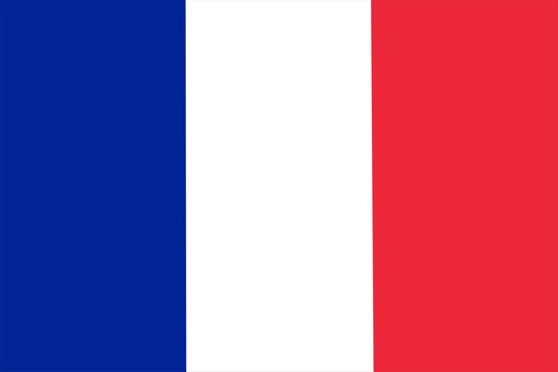Я конечно не географ, но кажется  флаг Франции и России можно отличить. По крайней мере мне кажется что..