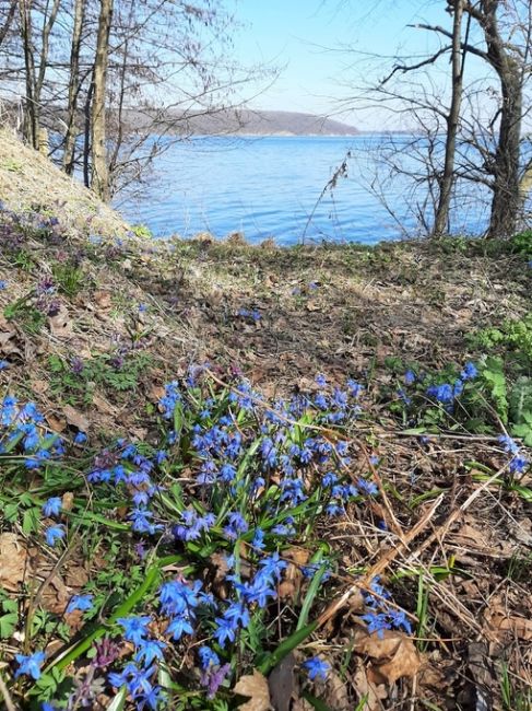 Шиловский плацдарм💙

📷Клавдия..