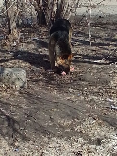 Опубликуйте пожалуйста!! Чей пацан???..