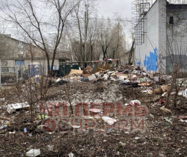 Так выглядит мусорка по адресу улица Коломенская дом 24, которая находится на против детского сада 418, крысы..