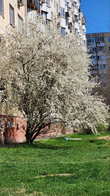 Чувствуется, что весна уже здесь! Какая..