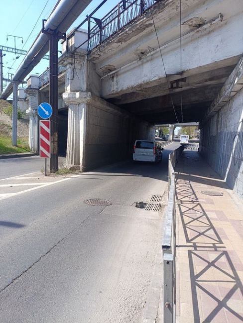 Под мостом на Ставропольской выросла довольно большая..