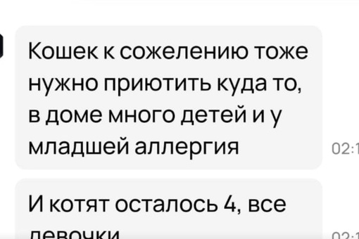 🆘🆘🆘
Семейство на грани выброса 🤦‍♀️
2 кошки и их дети котята, половину кому-то раздали в неизвестном..