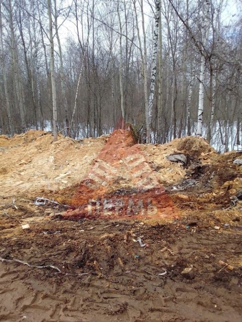 От подписчиков 

ООО Горизонталь, которая находится по адресу Трубная, 6 в г. Краснокамск устроили свалку..