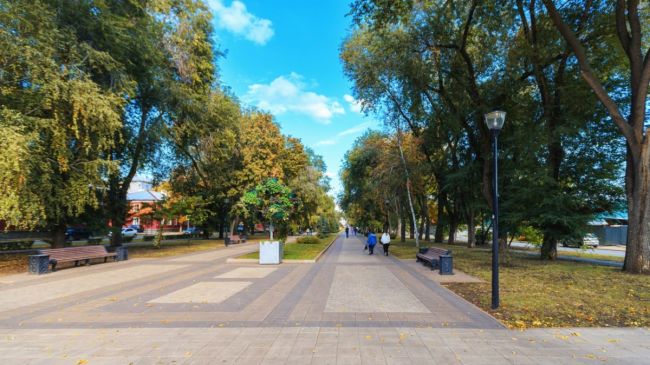 Стало известно, почему в Самаре перестали белить деревья известью 

Мэрия назвала причину

Во времена СССР на..