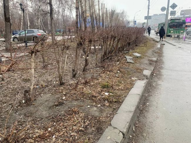 Журналисты НДН.инфо прогулялись по улицам и паркам города, чтобы оценить состояние Новосибирска весной и..