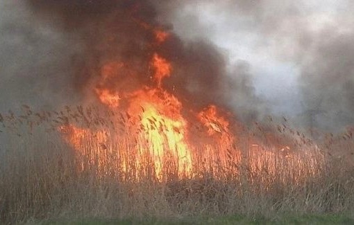 🔥Крупный ландшафтный пожар произошёл в Новочеркасске 

ЧП произошло на улице Нечаева, 21 апреля. По данным..