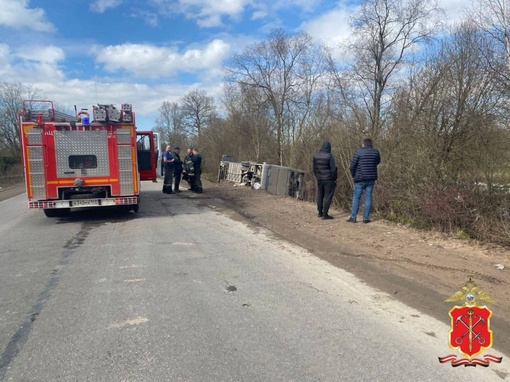 В Ленинградской области на 249-м километре автодороги Псков-Гдов-Сланцы-Кингисепп-Краколье автобус..