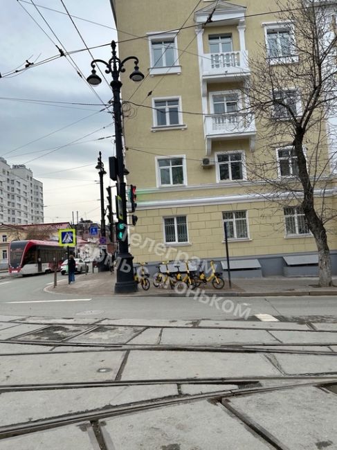 Весь центр теперь усыпан электровелосипедами

Надолго ли..