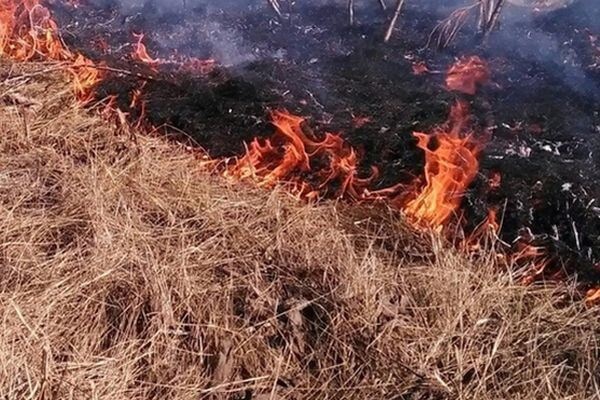 В Самарской области за сутки из-за пала травы произошло 3 пожара 

Как сообщили в ГУ МЧС по региону, их площадь..