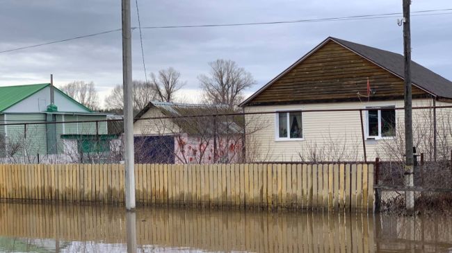 Самарцам рассказали, что лучше пить при затоплении 

Экологи рассказали о существующей опасности

Жителям..